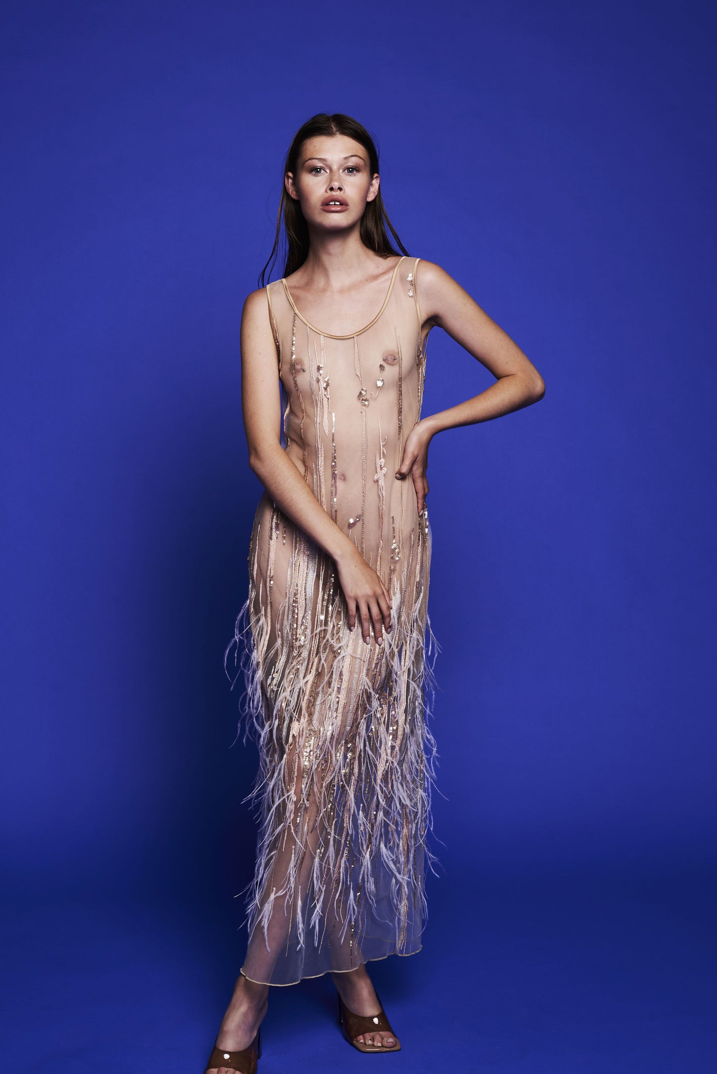 La Nuit Phoenix feathers long dress